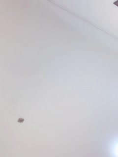  抖阴专区