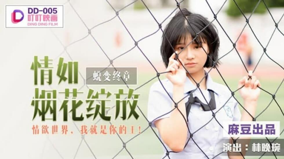  传媒专区